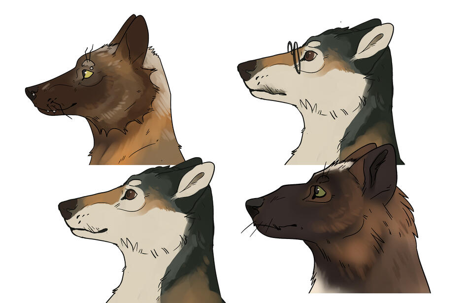 Final Weyr concepts